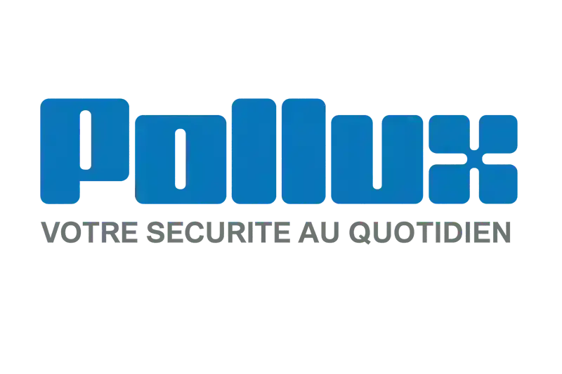 Logo Pollux
